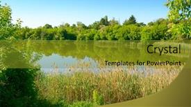  Presentation with woods - Slides consisting of picturesque lake covered with reeds background and a gold colored foreground