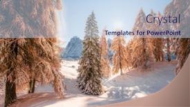  Presentation with orange - Slide deck having picturesque-landscape-with-orange-larches background and a sky blue colored foreground
