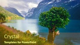  Presentation with tree - Amazing presentation design having picturesque-landscape-with-tree-mountains backdrop and a tawny brown colored foreground