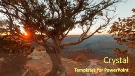  Presentation with grand canyon - Audience pleasing theme consisting of picturesque-landscapes-of-the-grand backdrop and a tawny brown colored foreground