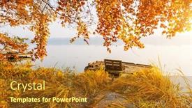  Presentation with forest morning - Amazing theme having picturesque-morning-view-through backdrop and a tawny brown colored foreground