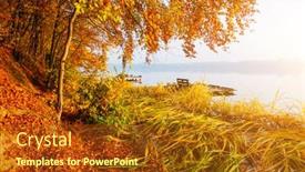  Presentation with forest morning - Colorful PPT layouts enhanced with picturesque-morning-view-through backdrop and a tawny brown colored foreground