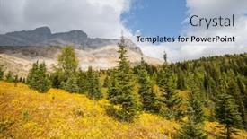  Presentation with canadian - 