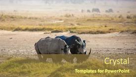  Presentation with kenya - Presentation design consisting of picturesque-pair-of-wild-african background and a tawny brown colored foreground