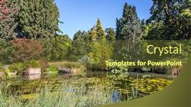  Presentation with new zealand - Beautiful PPT theme featuring picturesque-pond-with-stagnant-water backdrop and a tawny brown colored foreground