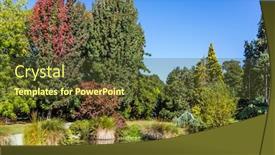  Presentation with new zealand - Slide deck with picturesque-pond-with-water-overgrown background and a tawny brown colored foreground