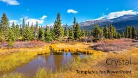  Presentation with cold water - Audience pleasing slide deck consisting of picturesque-puddles-around-bow-lake backdrop and a gold colored foreground