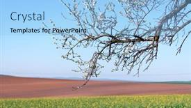  Presentation with agricultural - Beautiful slides featuring picturesque-rural-landscape-with-agricultural backdrop and a light blue colored foreground