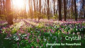  Presentation with earth day - Presentation design enhanced with picturesque-spring-glade-in-forest background and a tawny brown colored foreground