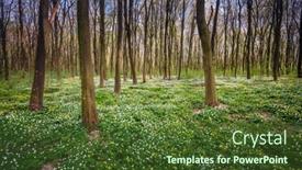  Presentation with earth day - Slide set consisting of picturesque-spring-glade-in-forest background and a tawny brown colored foreground