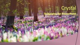  Presentation with earth day - Slides having picturesque-spring-glade-in-forest background and a tawny brown colored foreground