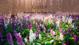  Presentation with earth day - Slide set with picturesque-spring-glade-in-forest background and a coral colored foreground