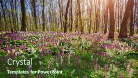  Presentation with earth day - Slide set enhanced with picturesque-spring-glade-in-forest background and a tawny brown colored foreground
