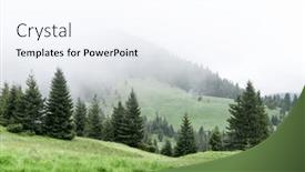  Presentation with meadow - PPT theme featuring picturesque-spring-meadow-with-foogy background and a sky blue colored foreground