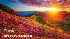  Presentation with pink beauty - Beautiful slide set featuring picturesque-summer-sunset-with-rhododendron backdrop and a tawny brown colored foreground