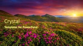  Presentation with pink beauty - Amazing theme having picturesque-summer-sunset-with-rhododendron backdrop and a tawny brown colored foreground