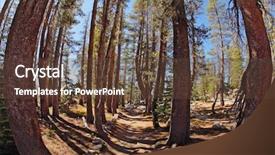  Presentation with yosemite - Slide deck consisting of picturesque tourist route to may lake in forest of national park yosemite it is used lens fisheye background and a tawny brown colored foreground