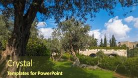  Presentation with summer trees - Presentation enhanced with picturesque-view-of-jerusalem-old background and a tawny brown colored foreground