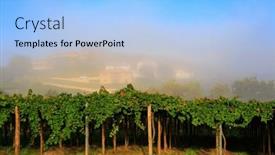  Presentation with autumn morning - Presentation with picturesque-vineyard-rural-life background and a light blue colored foreground