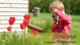  Presentation with tulip - Audience pleasing presentation consisting of  backdrop and a  colored foreground