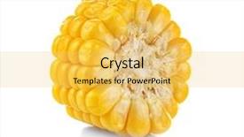  Presentation with corn cob - Audience pleasing theme consisting of piece of fresh corn cob backdrop and a yellow colored foreground