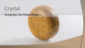  Presentation with white cheese - 