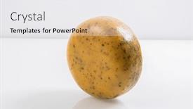  Presentation with white cheese - 