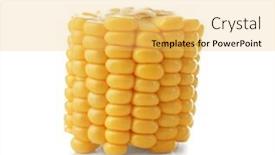 Presentation with corn cob - Theme enhanced with piece of ripe corn cob background and a yellow colored foreground