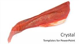  Presentation with fish scales - Slide set consisting of piece of salmon dried fish background and a white colored foreground