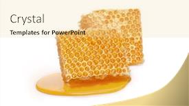  Presentation with honeycomb - Slide set having pieces-of-a-honeycomb background and a blonde colored foreground