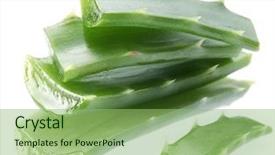  Presentation with aloe vera - Slides with pieces of aloe vera isolated background and a seafoam green colored foreground