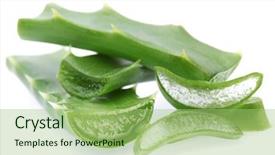  Presentation with aloe vera gel - Beautiful PPT theme featuring pieces of aloe vera isolated backdrop and a mint green colored foreground