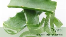  Presentation with aloe vera - Amazing presentation theme having pieces of aloe vera isolated on a white background backdrop and a seafoam green colored foreground