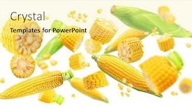  Presentation with corn cobs - Slide set consisting of pieces-of-corn-cobs background and a blonde colored foreground