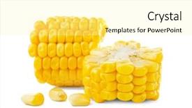  Presentation with corn cob - PPT theme with pieces of fresh corn cob background and a blonde colored foreground