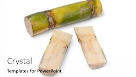  Presentation with sugar cane - Colorful slide deck enhanced with pieces-of-fresh-tropical-sugar backdrop and a white colored foreground