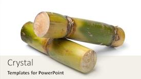  Presentation with sugar cane - Theme enhanced with pieces-of-fresh-tropical-sugar background and a coral colored foreground