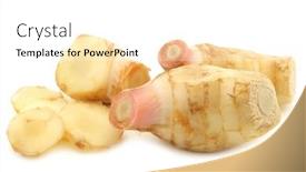  Presentation with ginger - Slide deck consisting of pieces of galangal herb siamese ginger on a white background background and a white colored foreground