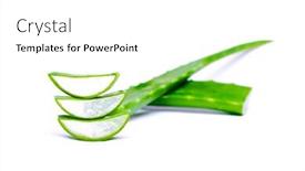 Presentation with white green - PPT theme having pieces-of-green-aloe-isolated background and a white colored foreground