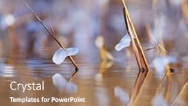  Presentation with winter ice - Presentation theme consisting of pieces-of-ice-on-dried background and a coral colored foreground