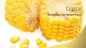  Presentation with maize - Slide set consisting of pieces-of-maize-cob background and a  colored foreground