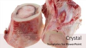  Presentation with bone marrow - Theme consisting of pieces of raw cut bone background and a coral colored foreground