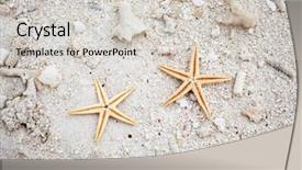  Presentation with shells beach summer holiday - PPT layouts having pieces of shells and coral background and a  colored foreground