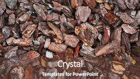  Presentation with wood texture - PPT theme enhanced with pieces of wood bark background and a tawny brown colored foreground