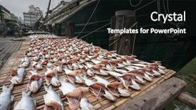  Presentation with fish port - PPT theme enhanced with pier in the port background and a black colored foreground