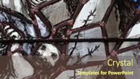  Presentation with resurrection - 