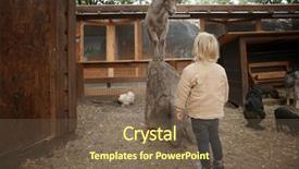  Presentation with cartoon goat - Colorful slide deck enhanced with pig chicken - cute little girl looking backdrop and a violet colored foreground