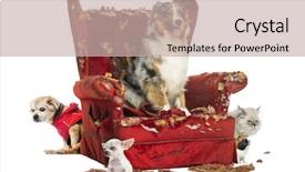  Presentation with pets - Amazing PPT layouts having agressive behavior - group of pets backdrop and a soft green colored foreground