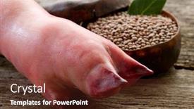  Presentation with lentils - Amazing PPT layouts having pig trotter with lentils backdrop and a tawny brown colored foreground