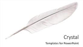  Presentation with white dove - Slides with pigeon feather isolated on white background and a white colored foreground